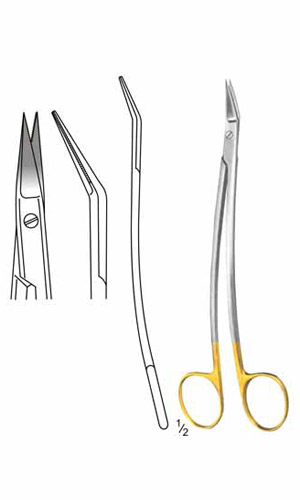 Tonsil Scissors